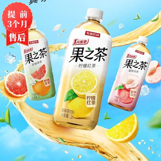 【3月】1L装东鹏果之茶1lx12 商品图0