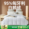 匈牙利进口立体95白鹅绒被 商品缩略图0