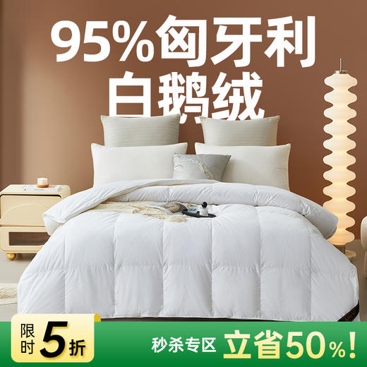匈牙利进口立体95白鹅绒被 商品图0