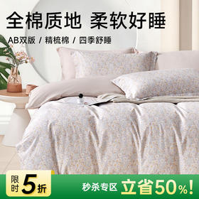 全棉舒适印花四件套(寻香)