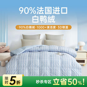 90法国白鸭绒被(海妮娅)