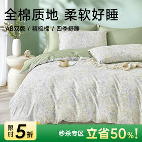 【直降250】全棉舒适印花四件套(清风花韵)