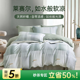 天丝莱赛尔印花四件套(卡尼克)