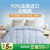 90法国白鸭绒被(海妮娅) 商品缩略图0