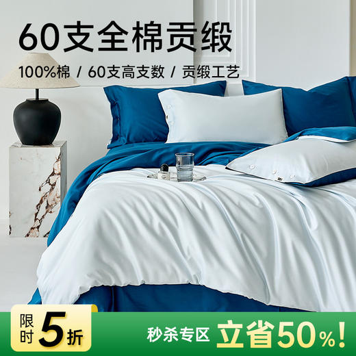 60支全棉贡缎四件套(浅云蓝) 商品图0