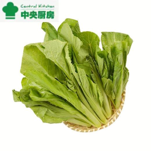 放心芥菜 约300g/袋 安全安心可追溯 伊藤自有品牌 商品图0