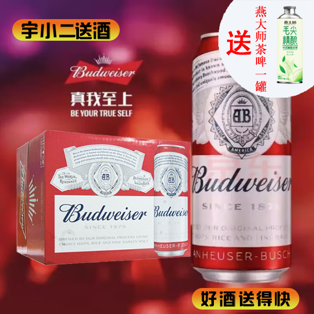 【啤酒】百威听装500ml*12