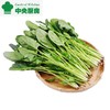 放心菠菜 约300g/袋 商品缩略图0
