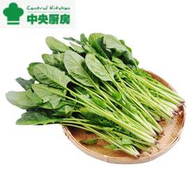 放心菠菜 约300g/袋