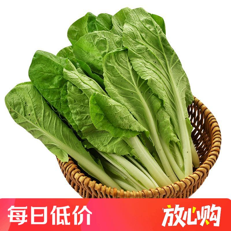 放心杭白菜 约300g/袋 安全安心可追溯 伊藤自有品牌