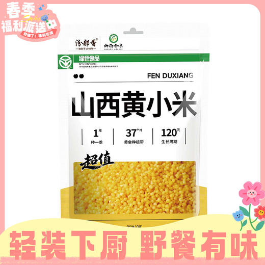 1kg汾都香黄小米 口感软糯 清香易煮 商品图0