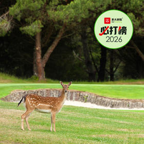 怀拉基高尔夫球场与保护区 Wairakei Golf + Sanctuary  | 陶波高尔夫球场 | 新西兰高尔夫球场俱乐部 | 北岛