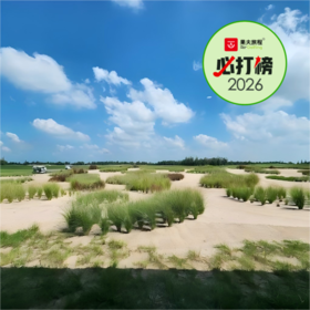 巴利榭高尔夫林克斯 Bally shear Golf Links | 曼谷高尔夫球场 | 泰国高尔夫球场俱乐部 | 东南亚