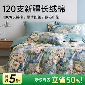 臻品120支长绒棉轻奢印花四件套（黛影流芳）
