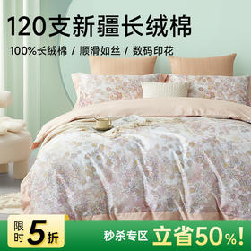 臻品120支长绒棉轻奢印花四件套(雅丽娜)