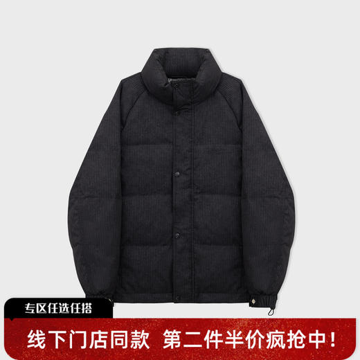 【新品上新】HX 冬季短款立领羽绒服90绒S100544071101/02 商品图0