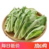 有机小白菜 250g/袋 商品缩略图0