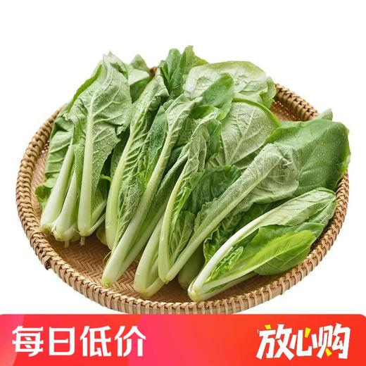 有机小白菜 250g/袋 商品图0
