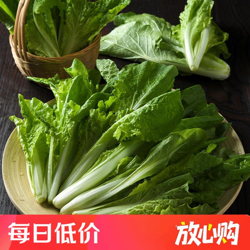 放心杭白菜 约300g/袋 安全安心可追溯 伊藤自有品牌