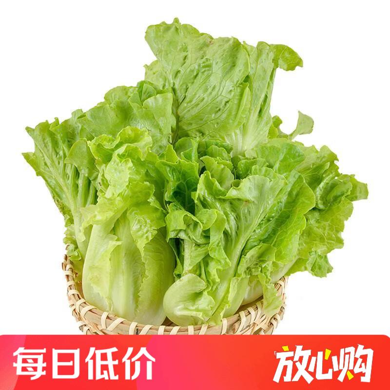 有机意大利生菜 250g/份