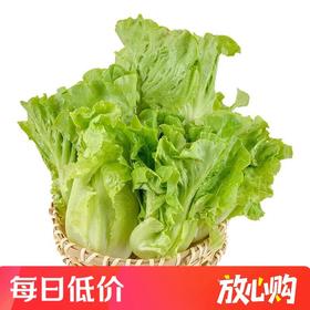 有机意大利生菜 250g/份