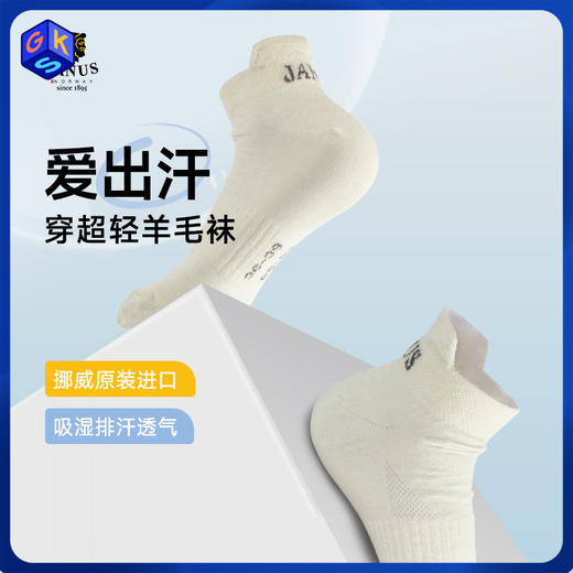【36-46码】挪威进口JANUS超轻羊毛成人船袜 2双装 商品图0