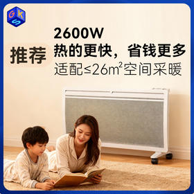 2600W大功率清仓【欧洲原版】意大利radialight 全屋取暖器电暖器 NDLX  wifi款  大功率2600W
