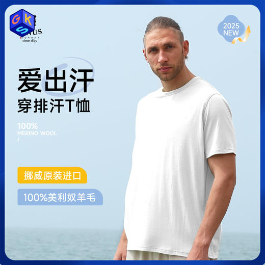 【M-3XL】挪威进口JANUS100%美利奴羊毛男士超轻羊毛T恤（纯色/图案款） 商品图0