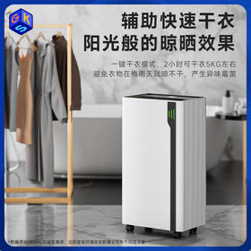 【告别回南天，高速除湿+空气净化杀菌】奥戈那智能除湿机