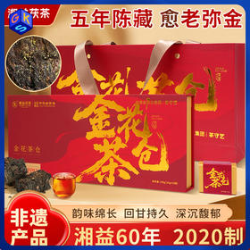 【中华老字号非遗】茶守艺 湘益茯茶·五年陈金花茶仓