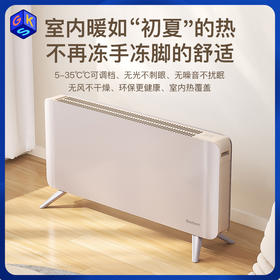 【H3低于官方双11】Bestherm百斯腾 小面积房均温抗菌全屋电暖器 H3（2000W）