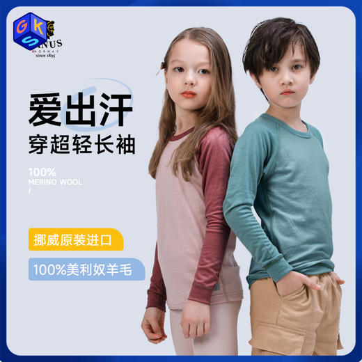 【100-170码】挪威进口 JANUS春夏100%美利奴羊毛超轻羊毛长袖薄衫  【2026新色】 商品图0