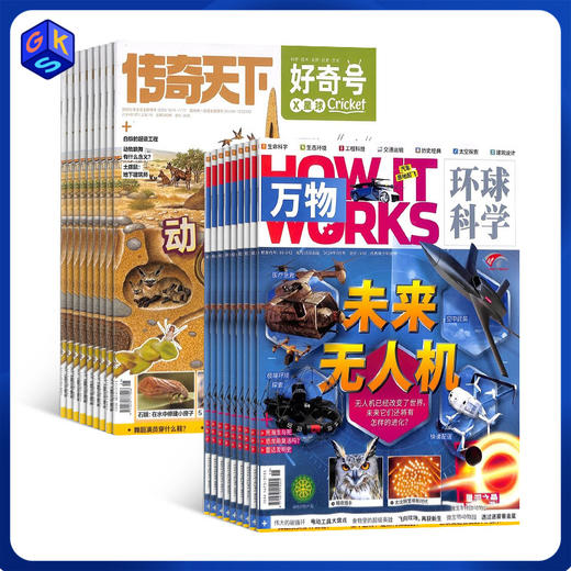 【组合装】好奇号、奇想岛、万物、商界少年等杂志组合（全年12期 含单品赠品） 商品图0