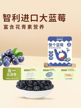 神兽果果-整个蓝莓（果干）健康营养儿童零食宝宝小吃果干