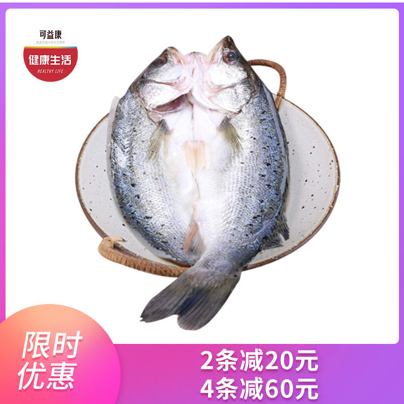 优选|珠海白蕉海鲈鱼   肉质滑嫩  蒜瓣肉刺少  鲜香不腥   400-500g/条