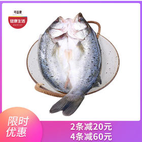 优选|珠海白蕉海鲈鱼   肉质滑嫩  蒜瓣肉刺少  鲜香不腥   400-500g/条