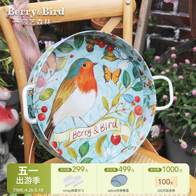 【云优选】Berry&Bird园艺托盘（知更鸟/向日葵）
