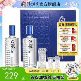 【酒厂直营】泸州白瓶酒酒具套装礼盒  500ml*2 泸州老窖官方旗舰店