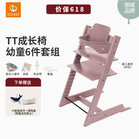 六件套 | 北欧Stokke Tripp Trapp儿童成长椅多功能学坐神器宝宝餐椅 餐椅TT 护栏套件 餐盘 安全带 新生儿套件 普通坐垫(随机款)