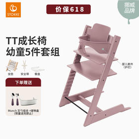五件套 | 北欧Stokke Tripp Trapp儿童成长椅 多功能学坐神器宝宝餐椅餐椅TT 护栏套件 餐盘 安全带 普通坐垫(随机色)
