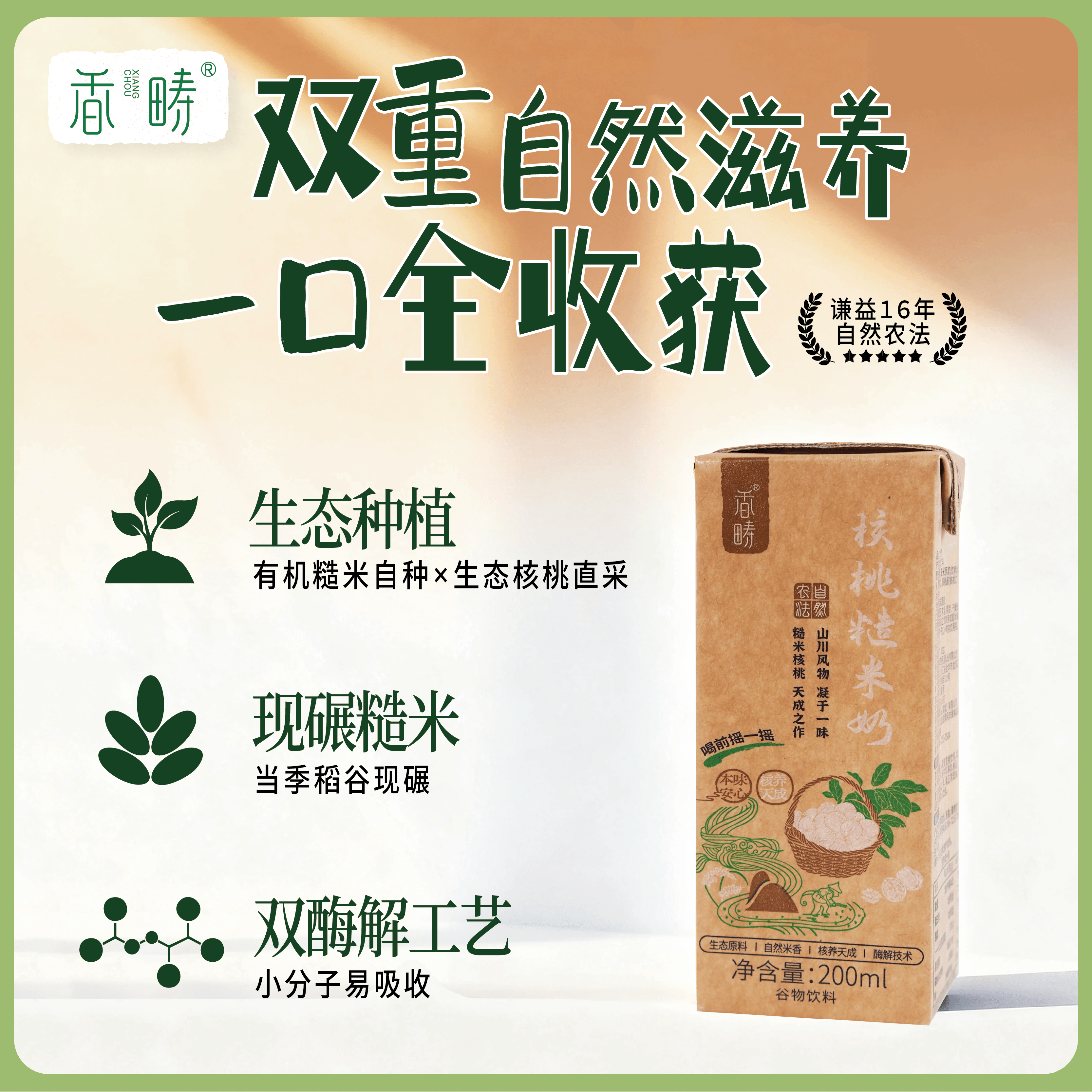 【新品】谦益 核桃糙米奶200ml*6瓶（1箱） 双重自然滋养 醇香丝滑 孩子的营养加餐 恢复精力