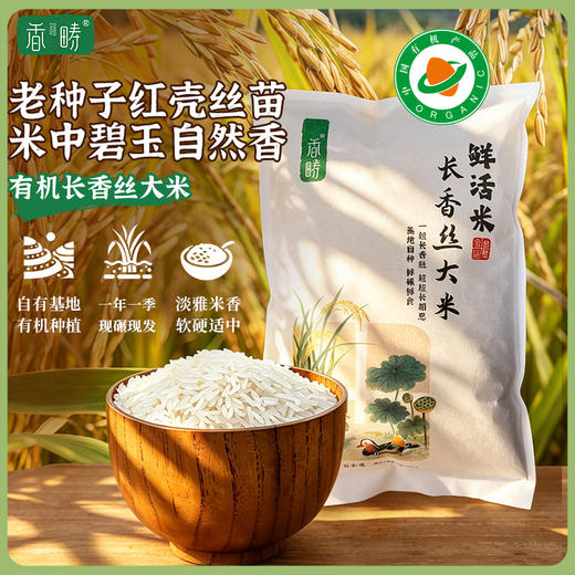 【2025年秋收】谦益香畴有机长香丝大米5斤 大别山区种植 传统老种子 清香软糯 健康安心 煮粥 煮饭 炒饭优选 商品图0