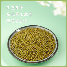 【2025年秋收】谦益香畴 东北原产小绿豆500g 自然农耕 传统土品种 颗粒饱满可留种 绿豆粥 绿豆沙