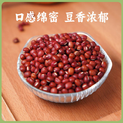 【2025年秋收】谦益香畴红小豆500g 东北原产 自然农耕 传统土品种 颗粒饱满 口感绵密易出沙 商品图0