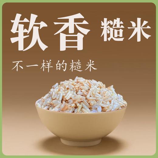 【同行精选】软香糙米1斤/5斤  老稻种糙米  皮薄软糯  营养留存 商品图0