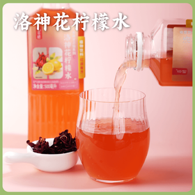 【夏季新品】谦益香畴 洛神花柠檬水500ml 夏季健康饮品 清爽回甘 随时随地畅享快乐
