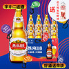 【啤酒】燕京U8啤酒 500ml*12 商品缩略图0