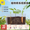 【云优选】GWIZ顽学植物根系种植生态观察盒 四季种植不挑时间 有阳光就能播种 解锁植物成长的奥秘 商品缩略图0