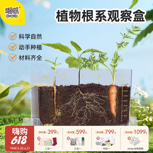 【云优选】GWIZ顽学植物根系种植生态观察盒 四季种植不挑时间 有阳光就能播种 解锁植物成长的奥秘 商品图0