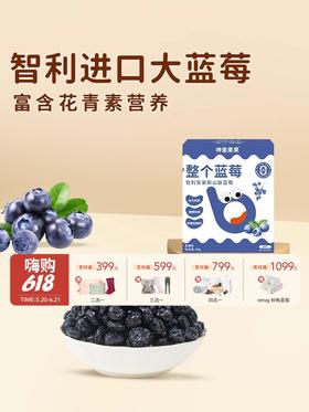 神兽果果-整个蓝莓（果干）健康营养儿童零食宝宝小吃果干